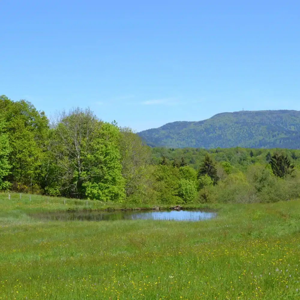 plateau milles etangs camping ballastieres bourgogne 06 scaled